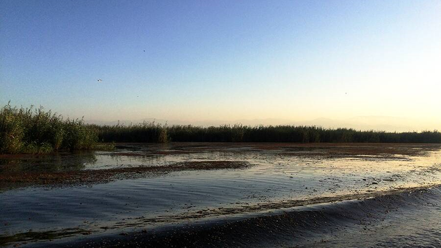 Laguna Anzali